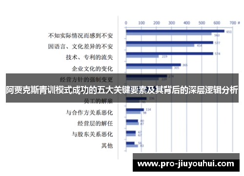 阿贾克斯青训模式成功的五大关键要素及其背后的深层逻辑分析