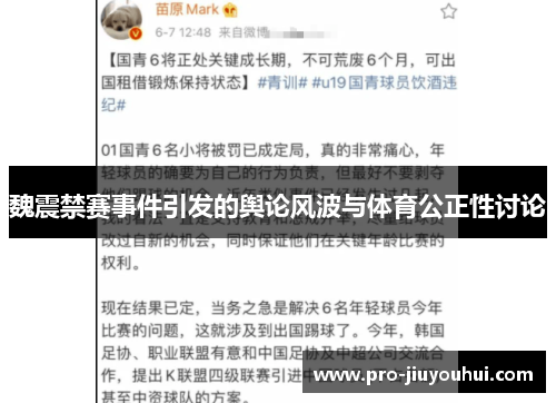 魏震禁赛事件引发的舆论风波与体育公正性讨论
