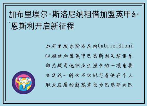 加布里埃尔·斯洛尼纳租借加盟英甲巴恩斯利开启新征程
