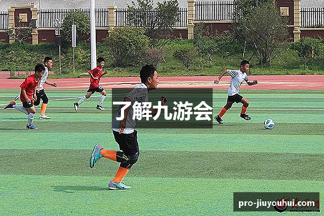 了解九游会